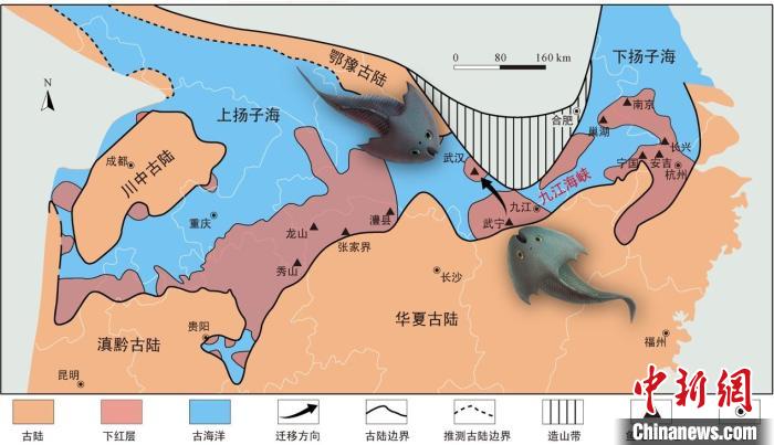 華南地區(qū)志留紀(jì)早期古地理圖和盔甲魚類化石產(chǎn)地(山顯任改自陳旭、戎嘉余，1996；戎嘉余等，2012) 中科院古脊椎所 供圖