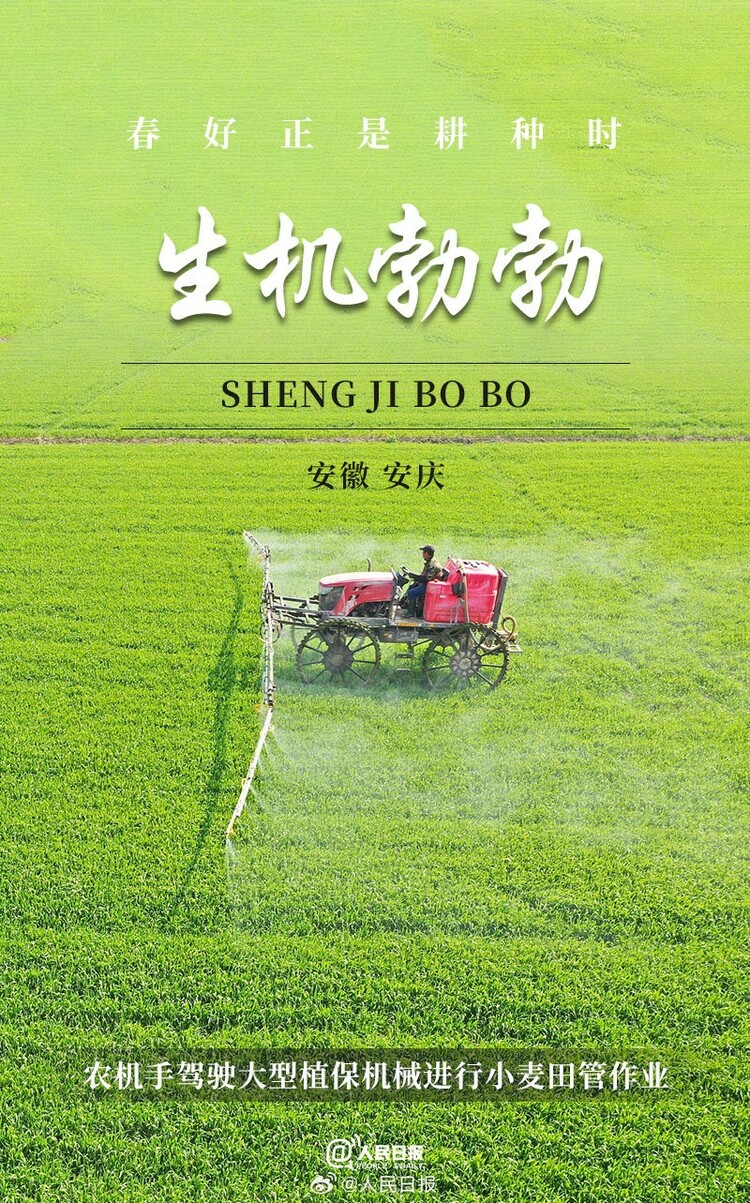 生機(jī)盎然！用課本封面打開春耕畫卷