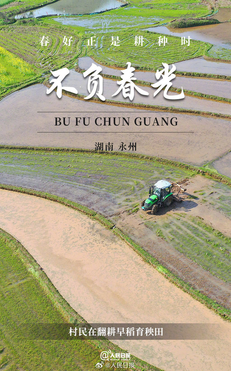 生機(jī)盎然！用課本封面打開春耕畫卷