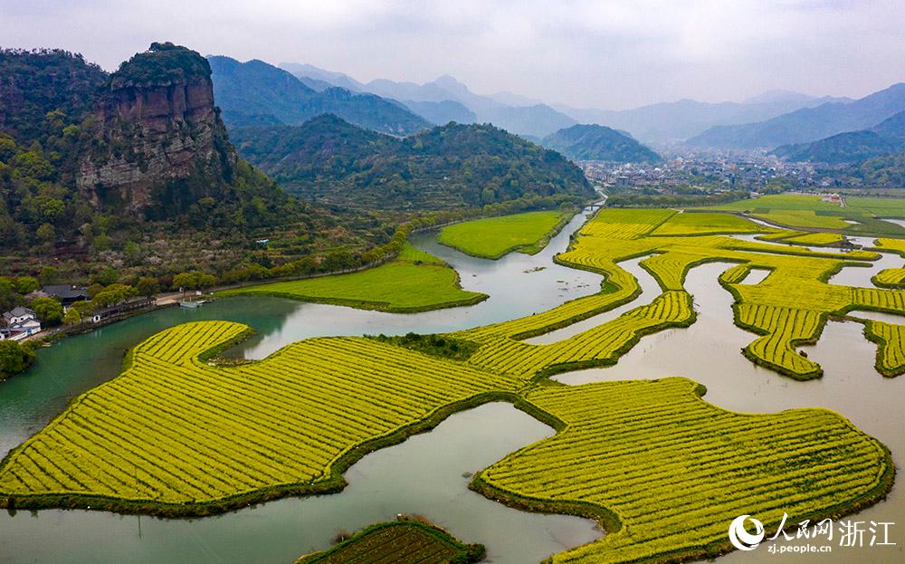 3月28日，航拍浙江省臨海市桃渚鎮(zhèn)桃江十三渚盛開的油菜花景色。人民網(wǎng) 章勇濤攝