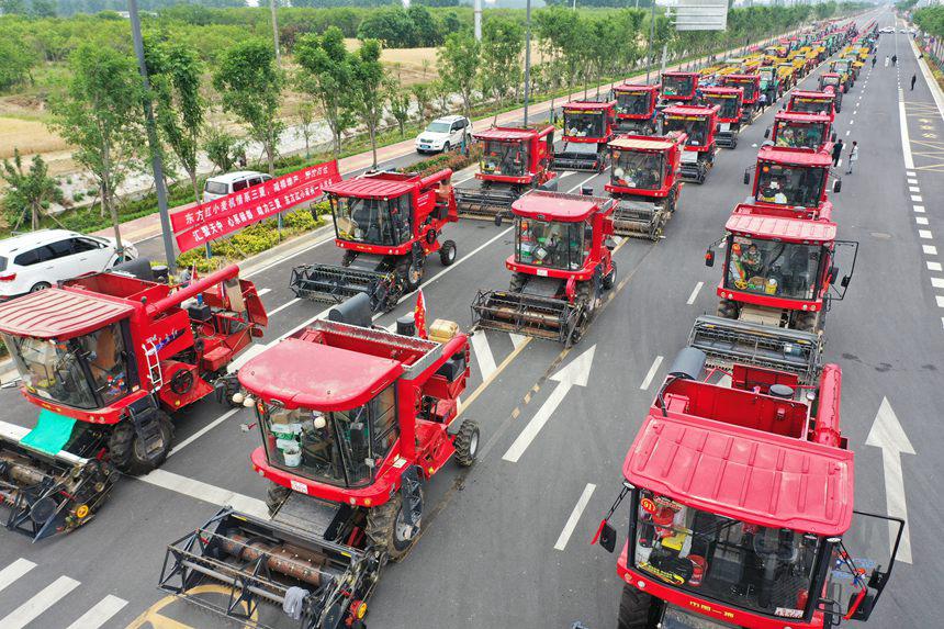 收割機(jī)“戰(zhàn)隊”。吳波攝