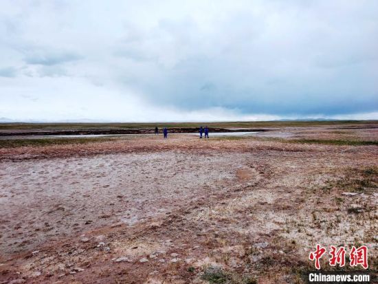 圖為救援力量在青海省西部搜救失聯(lián)的江蘇南京某大學(xué)女生黃某某。海西州藍(lán)天應(yīng)急救援中心 供圖