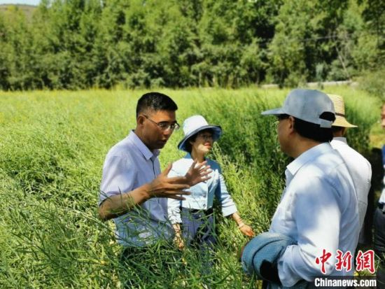 圖為九三學社青海省委主委杜德志(左一)在基層調研。受訪者供圖