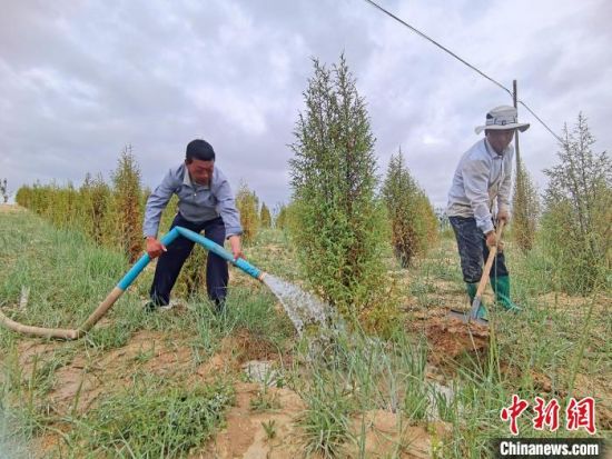 圖為扎西和村民給樹澆水。　祁增蓓　攝