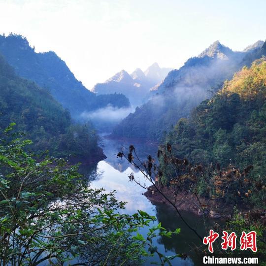 黃荊老林自然保護中心成立探索生態(tài)保護與社區(qū)經濟發(fā)展平衡