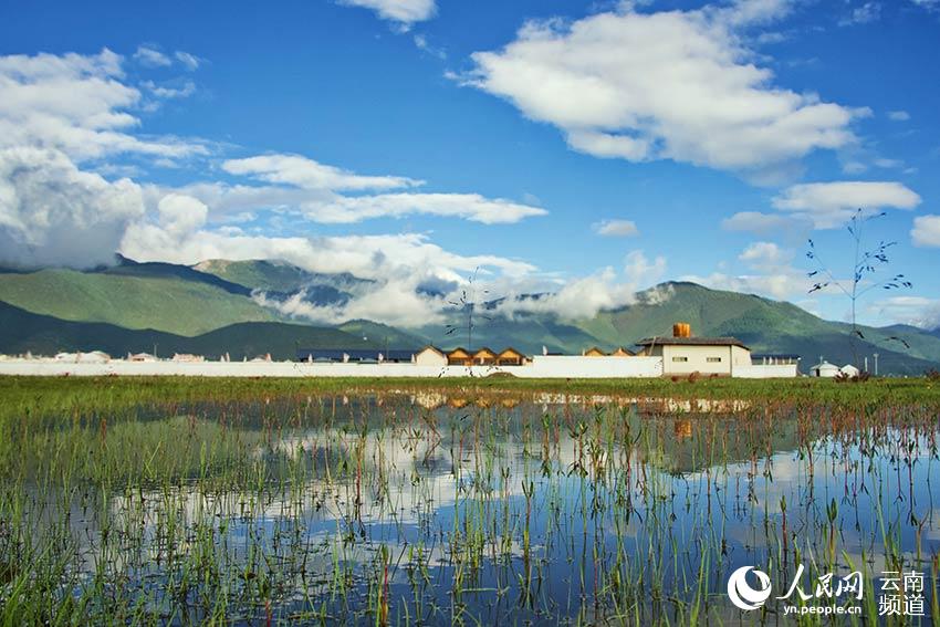 納帕海濕地風(fēng)景。呂昊辰攝