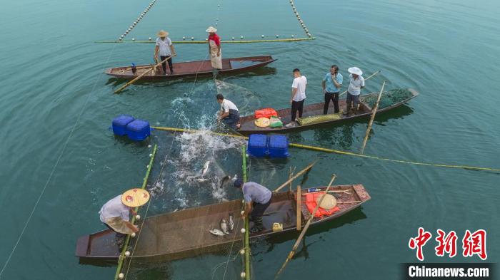 捕魚現(xiàn)場?！≈鬓k方供圖