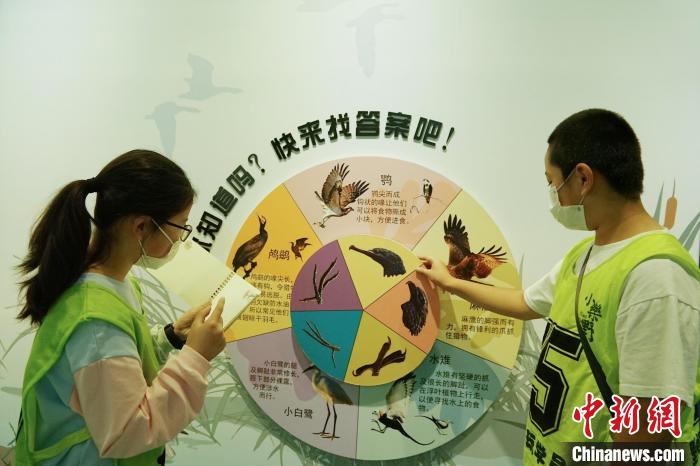 圖為小朋友在青海西寧湟水國家濕地公園科普館內(nèi)參觀學習?！●R銘言 攝