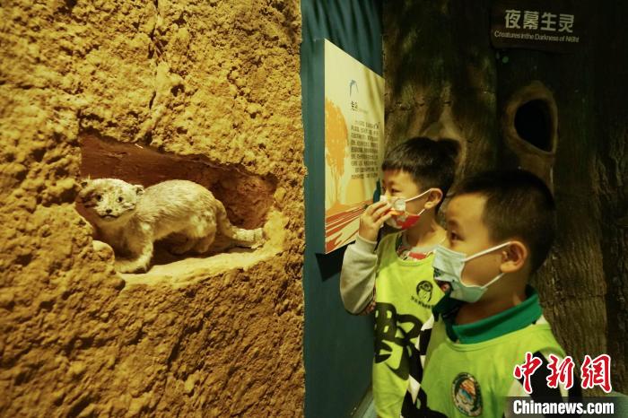圖為小朋友在青海西寧湟水國家濕地公園科普館內(nèi)參觀學習?！●R銘言 攝