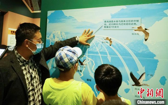 圖為小朋友在青海西寧湟水國家濕地公園科普館內(nèi)參觀學習?！●R銘言 攝