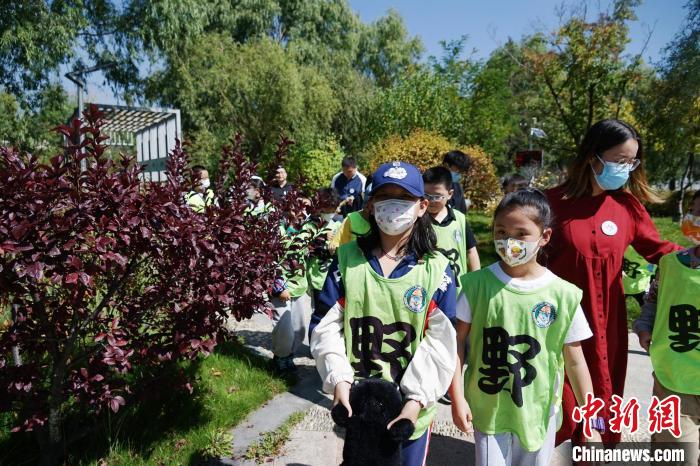 圖為小朋友在青海西寧湟水國家濕地公園內(nèi)認識植物?！●R銘言 攝