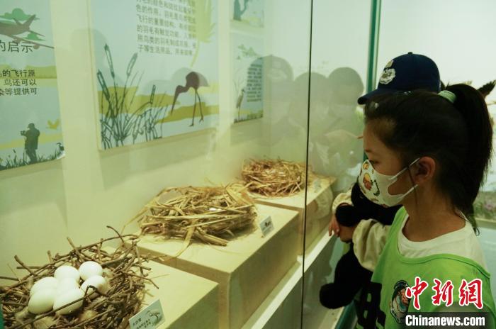 圖為小朋友在青海西寧湟水國家濕地公園科普館內(nèi)參觀學習。　馬銘言 攝