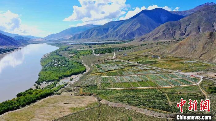 圖為桑日縣葡萄種植基地。　山南桑日縣委宣傳部提供