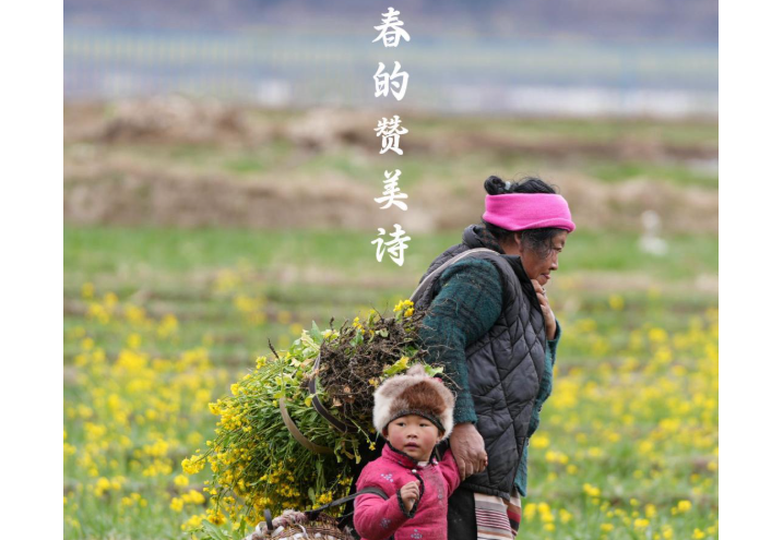 企業(yè)微信截圖_20250324212729.png