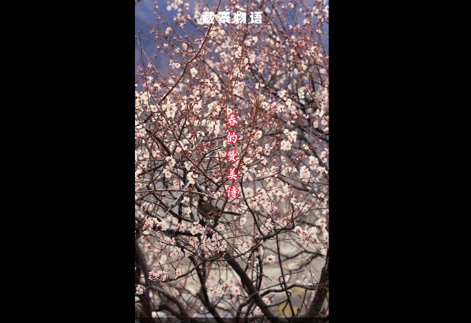 微信截圖_20250326140809.png