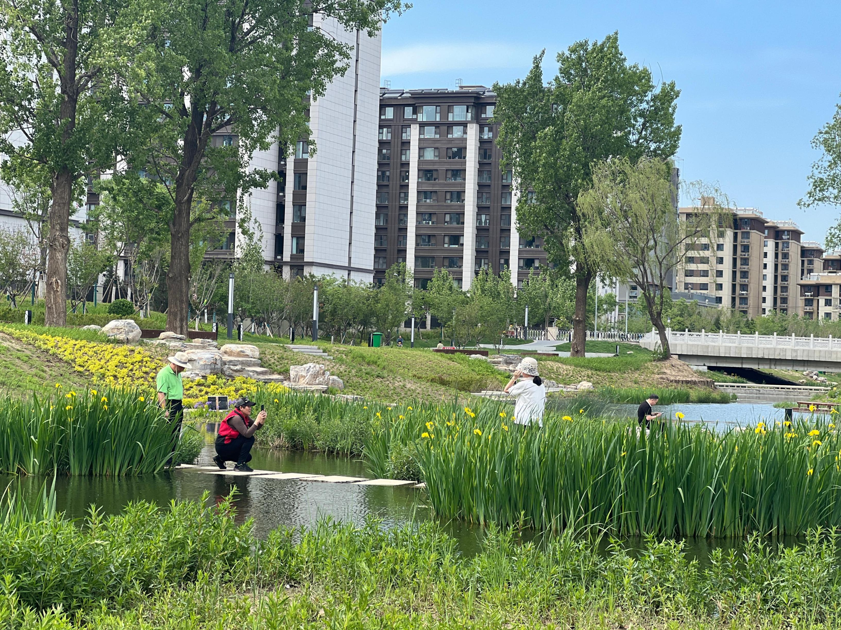 五一渠生態(tài)濱河公園內(nèi)，市民正在拍照留念。人民網(wǎng) 歐陽易佳攝