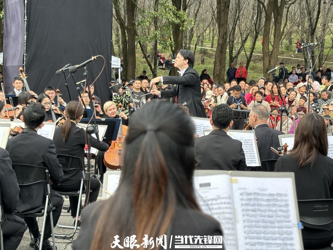 貴陽路邊音樂會(huì)·貴安櫻花園專場交響樂現(xiàn)場。丁亞 文丹 攝