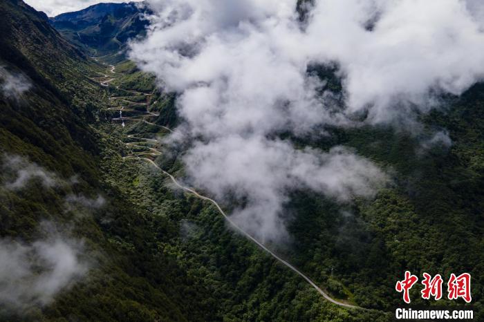 西藏山南勒布溝景區(qū)的盤山公路被云霧環(huán)繞?！〗w波 攝