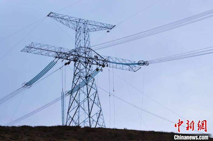 高原藏區(qū)電力線路建設(shè)者：高寒缺氧、扎刺掛彩是常事