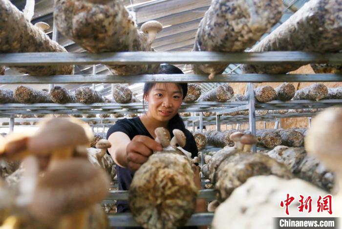 甘肅天?！跋愎椒蚱蕖毕律饺氪ǎ捍笈锢镉板X景”