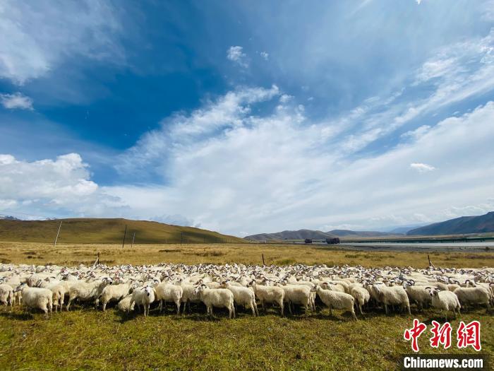 三江源國家公園：科技畜牧支撐生態(tài)保護和區(qū)域經(jīng)濟協(xié)調(diào)發(fā)展