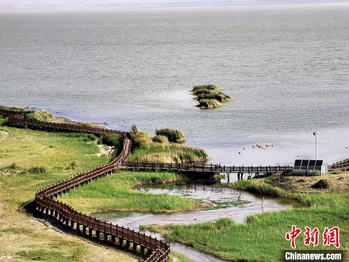 圖為都蘭湖國家濕地公園觀光棧道?！∑钤鲚?攝