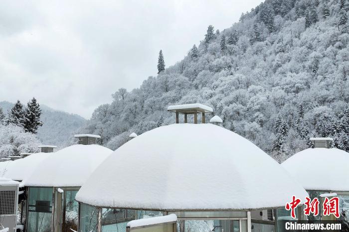 大熊貓國家公園王朗片區(qū)春雪如畫，宛若仙境。　羅春平 攝