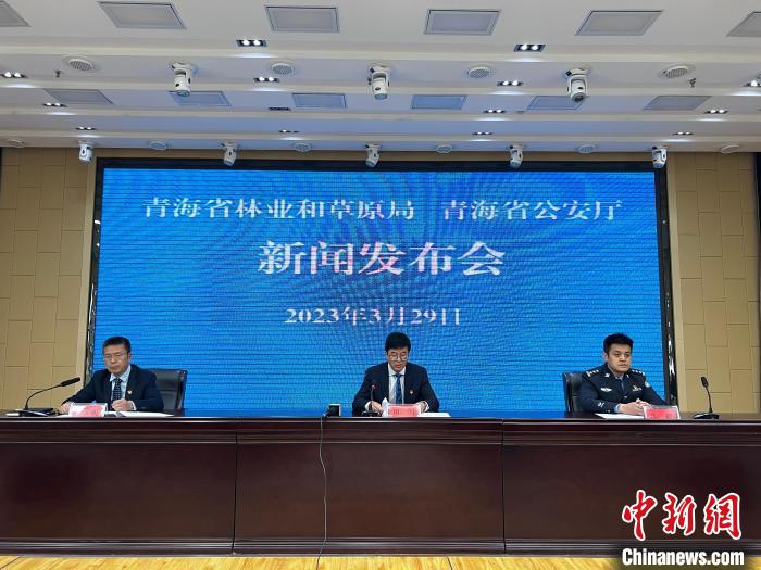 青海去年占用林地、草地準(zhǔn)予許可件同比實(shí)現(xiàn)“雙減”