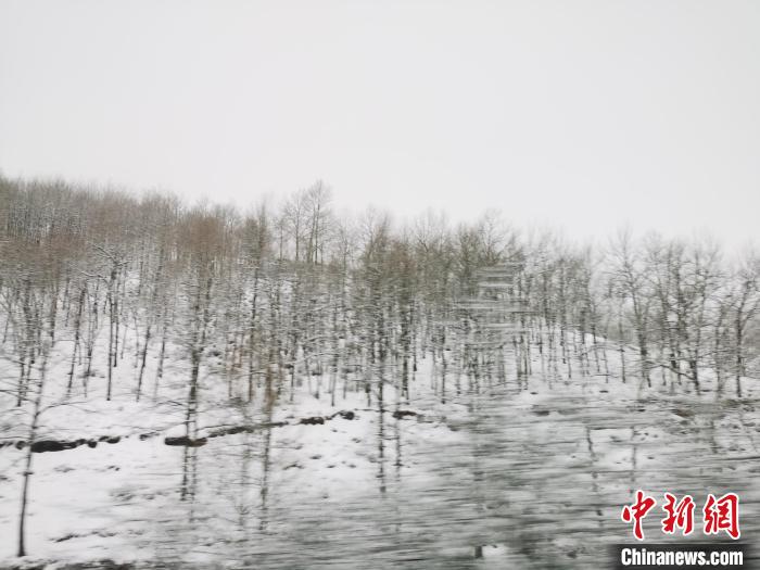 圖為青海青沙山區(qū)域被降雪覆蓋?！?zhí)砀?攝