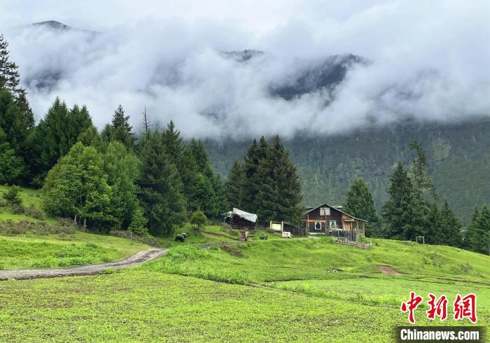 6月10日，魯朗小鎮(zhèn)高山牧場景區(qū)風(fēng)光?！∪轿木?攝