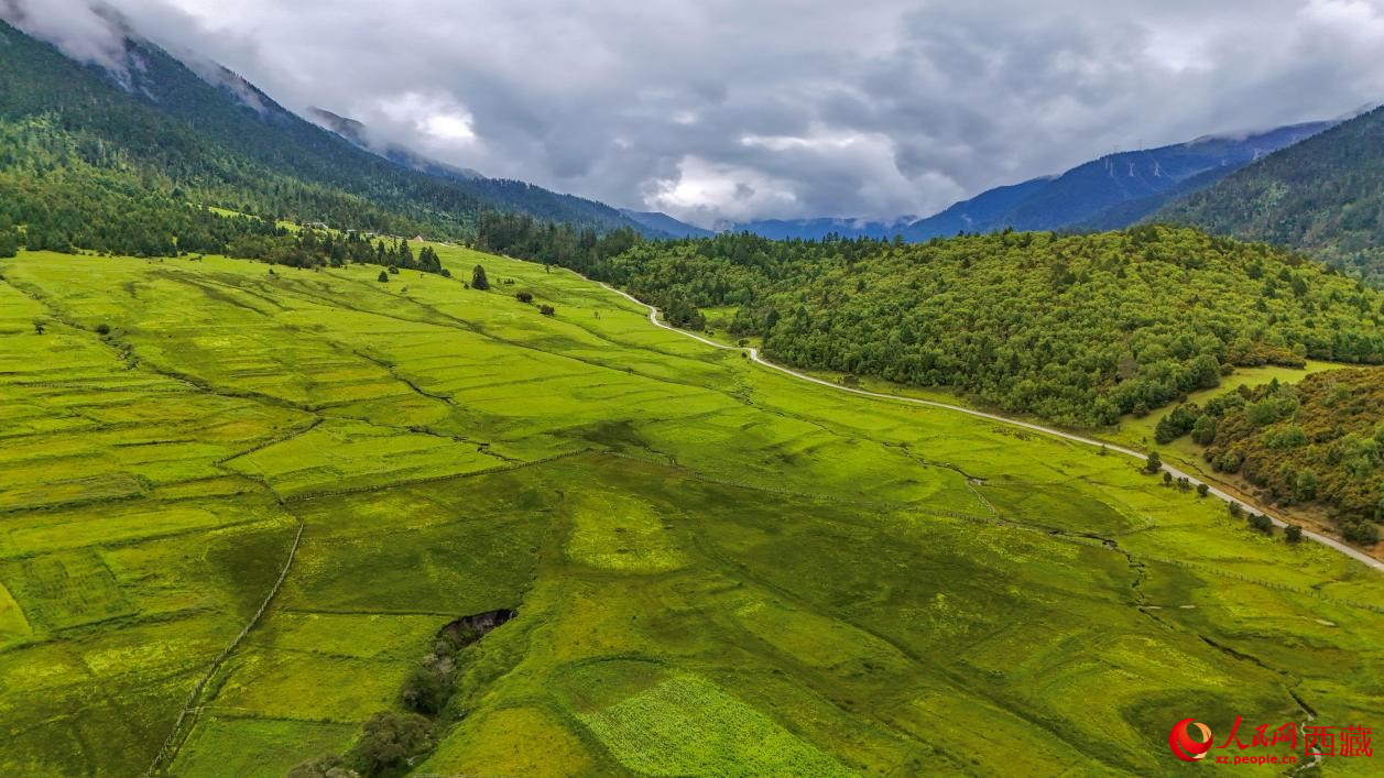 圖為航拍高山牧場鳥瞰圖。人民網(wǎng)記者 次仁羅布攝