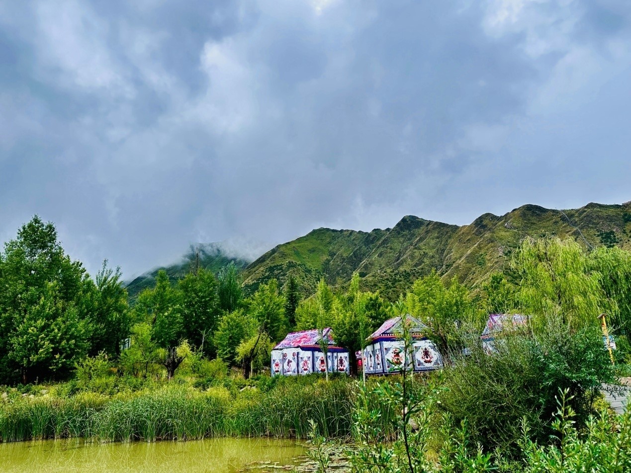 郁郁蔥蔥的南山公園。人民網(wǎng)記者 益西康珠攝