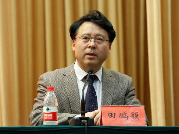 田鵬穎：投入其中、樂在其中、安身其中