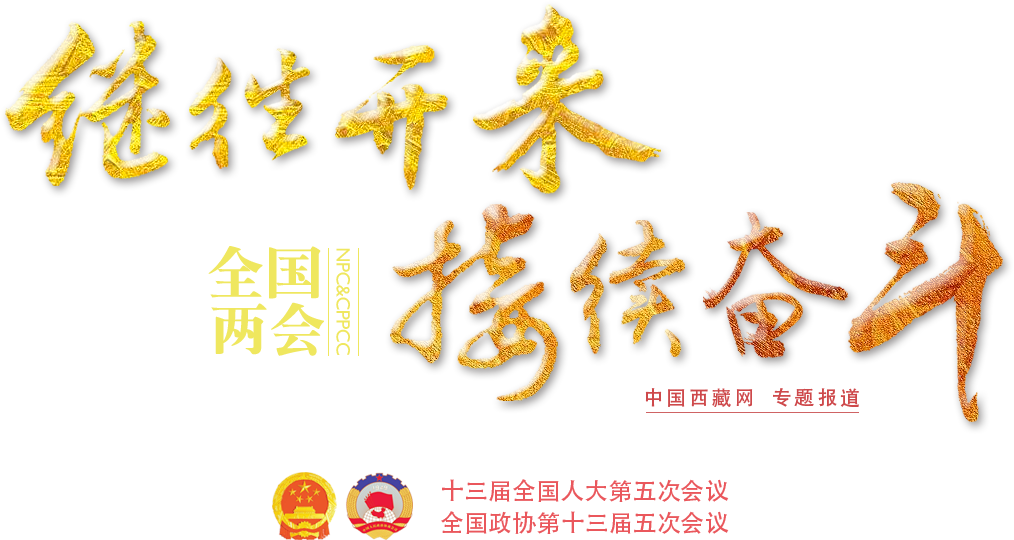 全國(guó)兩會(huì)